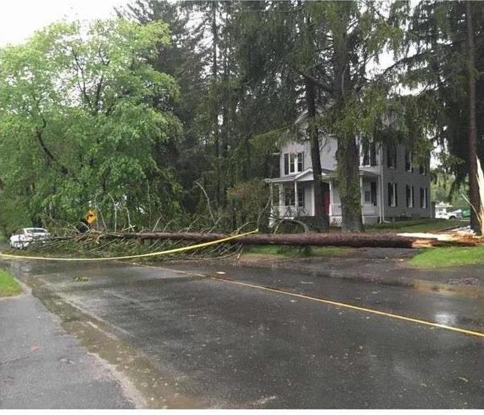 house after storm with trees down