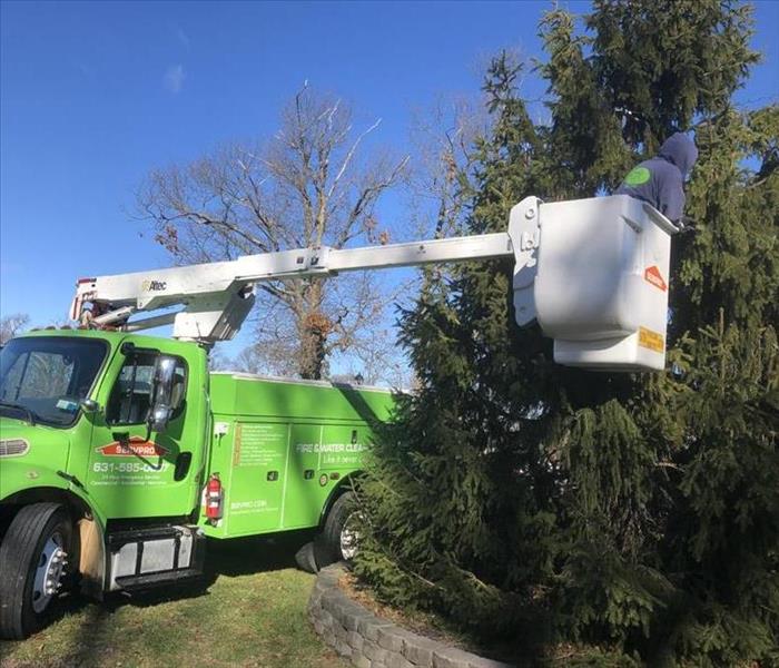 bucket truck decorates tree